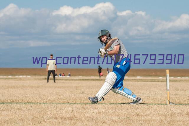 essay on cricket